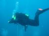 diving in Tel Aviv 17.07.2010