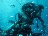 diving in Tel Aviv 17.07.2010