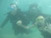 Our Divers