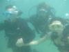 Our Divers