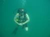 Our Divers