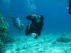 Scuba diving in Eilat