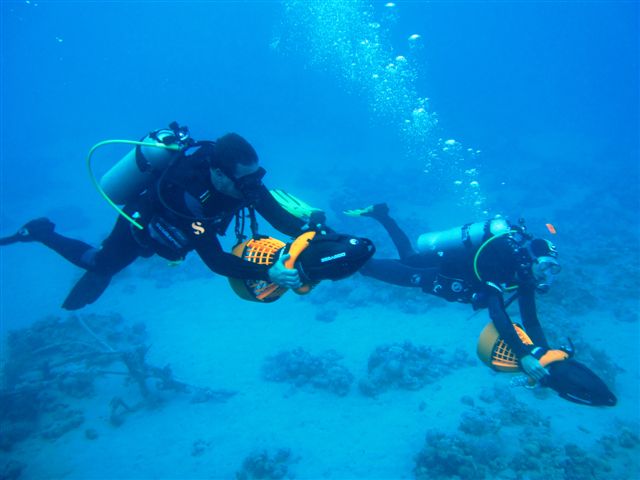 התמחות סקוטרים