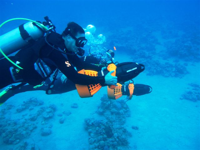 התמחות סקוטרים